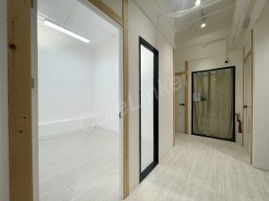駱駝漆大廈