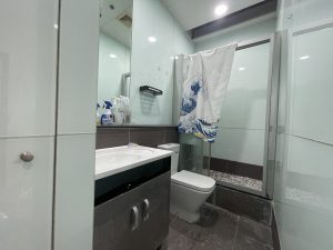 駱駝漆大廈