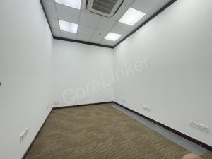 駱駝漆大廈
